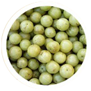 Emblica Officinalis( Phyllanthus Emblica)